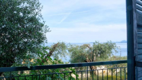 Evo's Sea view resort